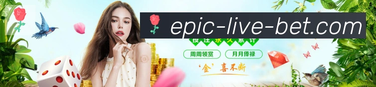 登录器